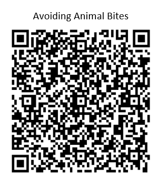 Screenshot 2025-12-12 124310